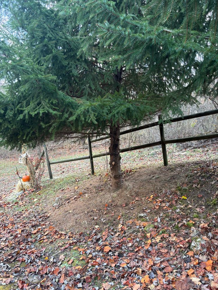 All Photos for Cam Yardz in Washington, PA