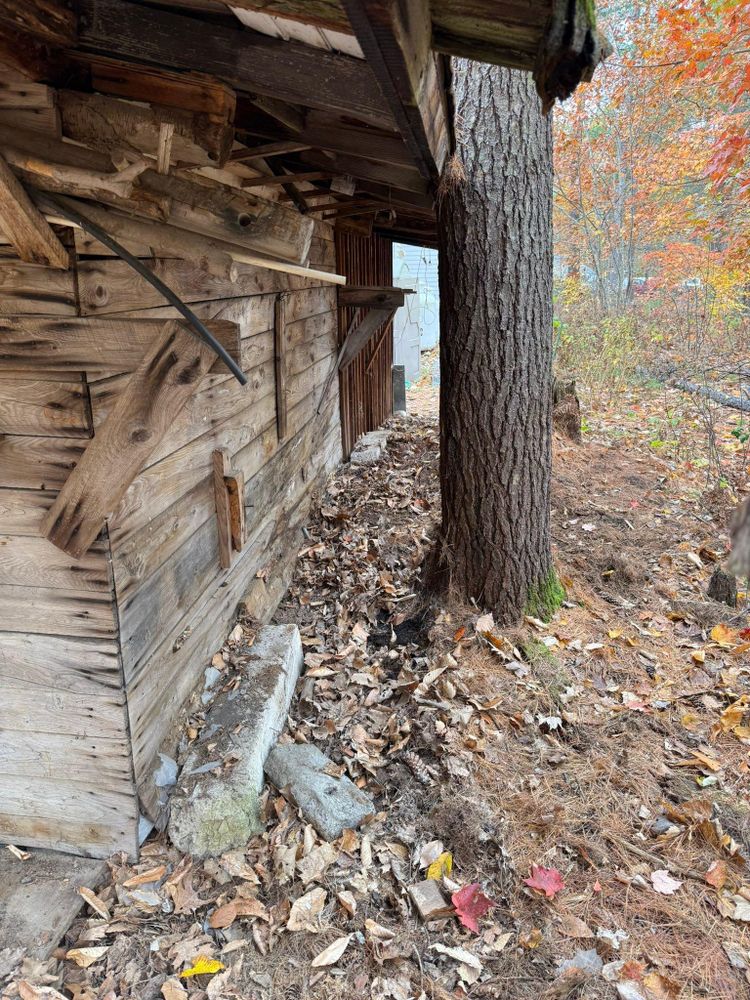 All Photos for White Mountain Dumpster in Ossipee, NH