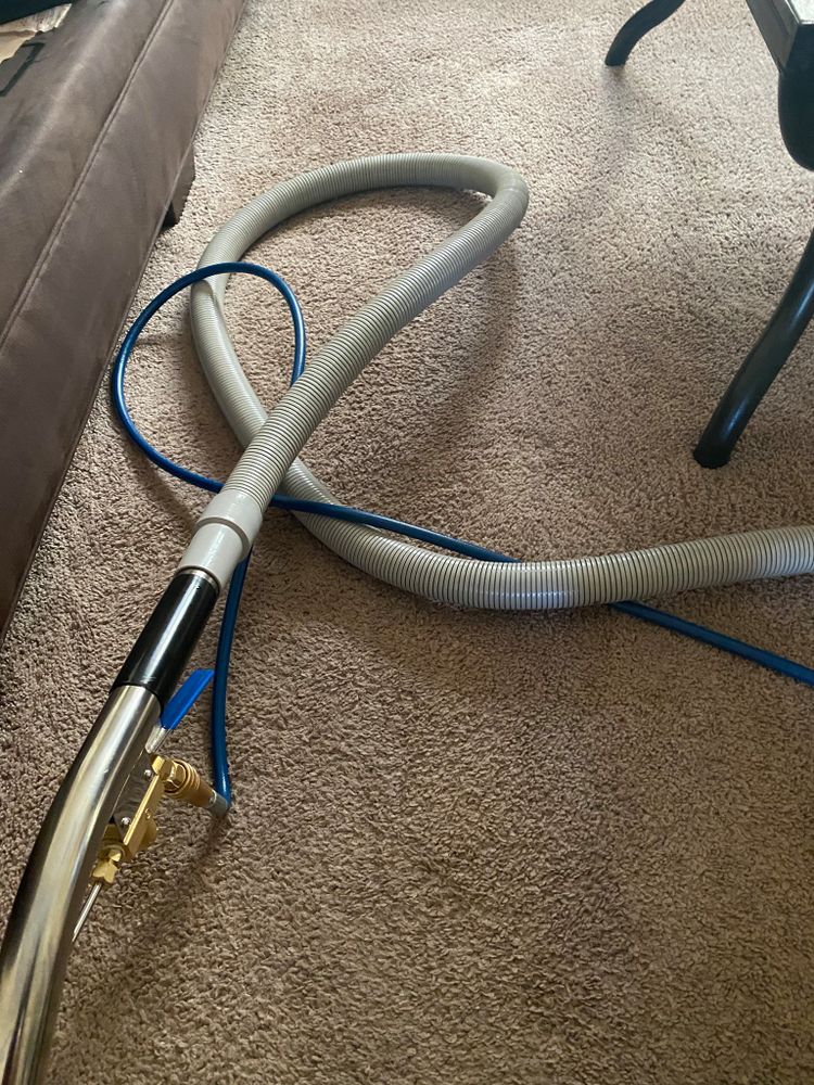 Carpet Cleaning for Banderas Cleaning Service in Elsmere, DE