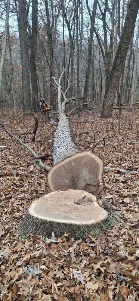 All Photos for God's Country Timber Management in Hillsdale, MI