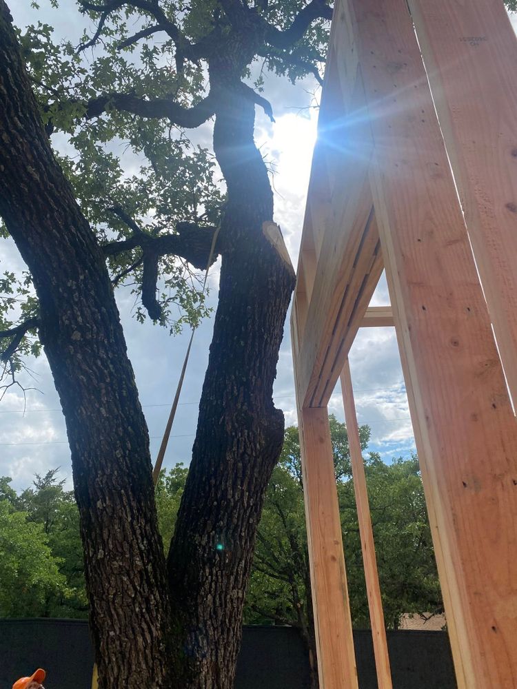 Enhance your home's safety and beauty with our professional tree trimming service, ensuring healthy tree growth, improved appearance, and increased property value through precise pruning by our experienced arborists. for Hector’s Tree Services in Nocona, TX