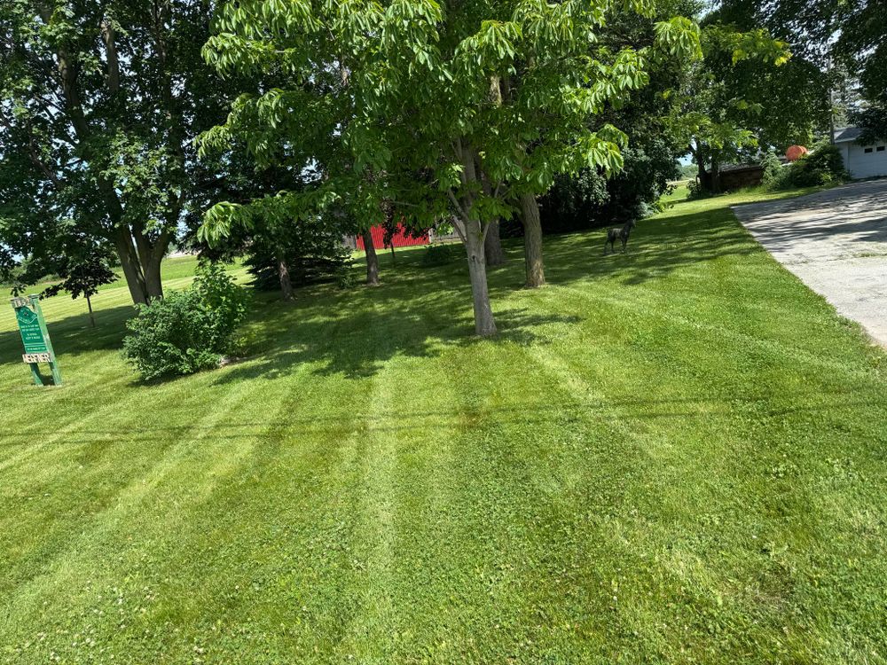 All Photos for Daugherty's Tough Lawn Care in Essexville, MI