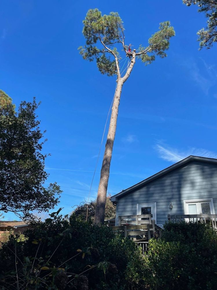 Sasquatch Tree Services LLC team in Spartanburg, SC - people or person