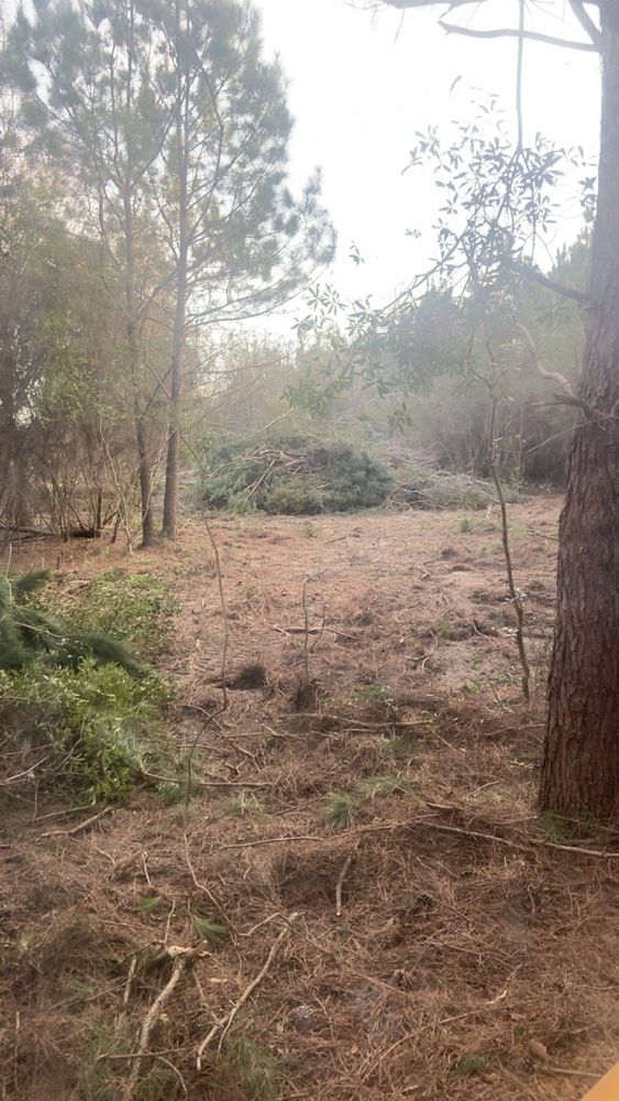 All Photos for Rogers Land Services in Hawkinsville, GA