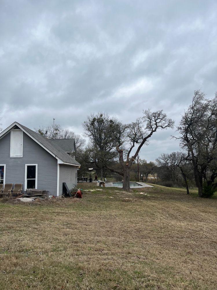 All Photos for Marks Tree Service in Fort Worth, TX