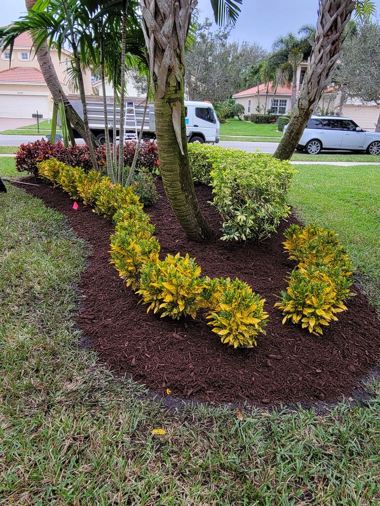 All Photos for L & J Palm Tree & Lawn Care Services in Jupiter, FL
