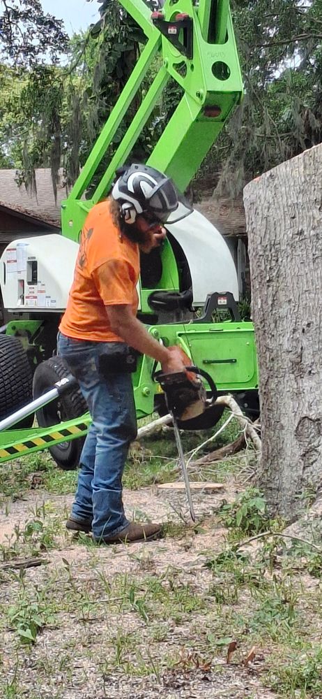 All Photos for Daniel Hickey’s Tree Service in DeLand, FL