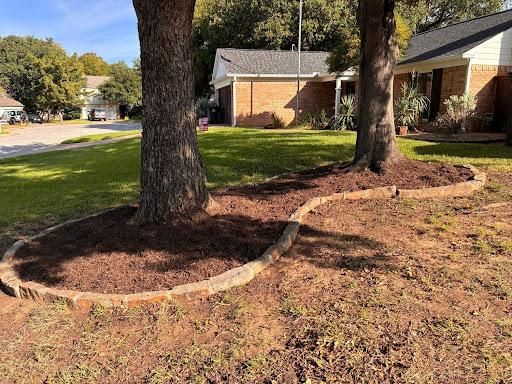 All Photos for Blu-J Tree Care in Arlington, TX