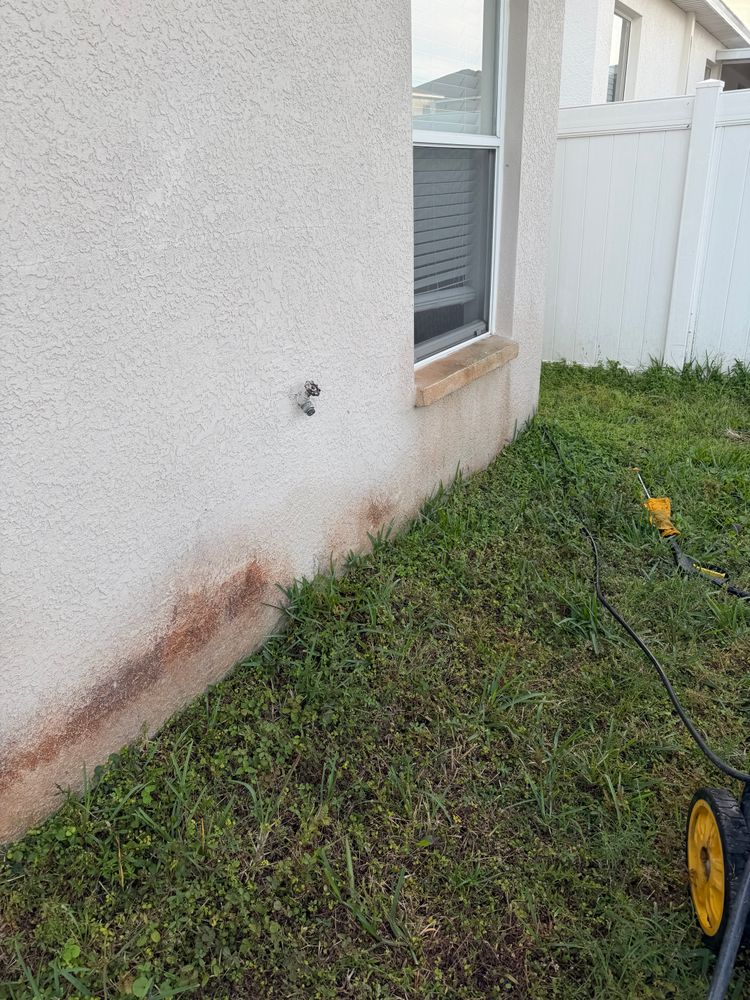 All Photos for The Yardman in Tampa, FL