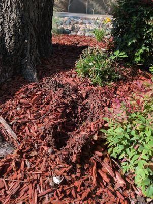 All Photos for Toppers Wildlife Removal in Garland, TX