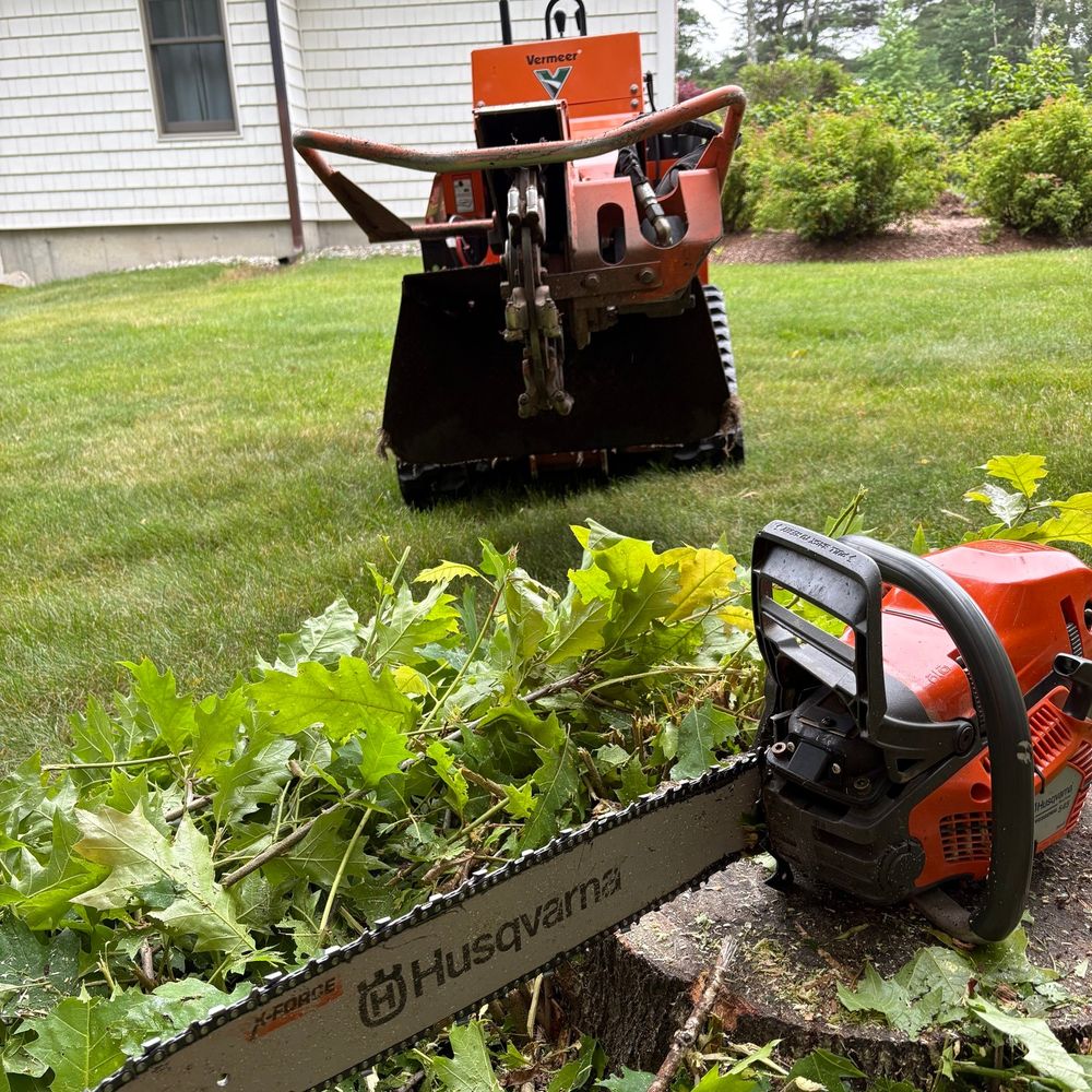 Deciduous Treeworks LLC team in Concord, NH - people or person