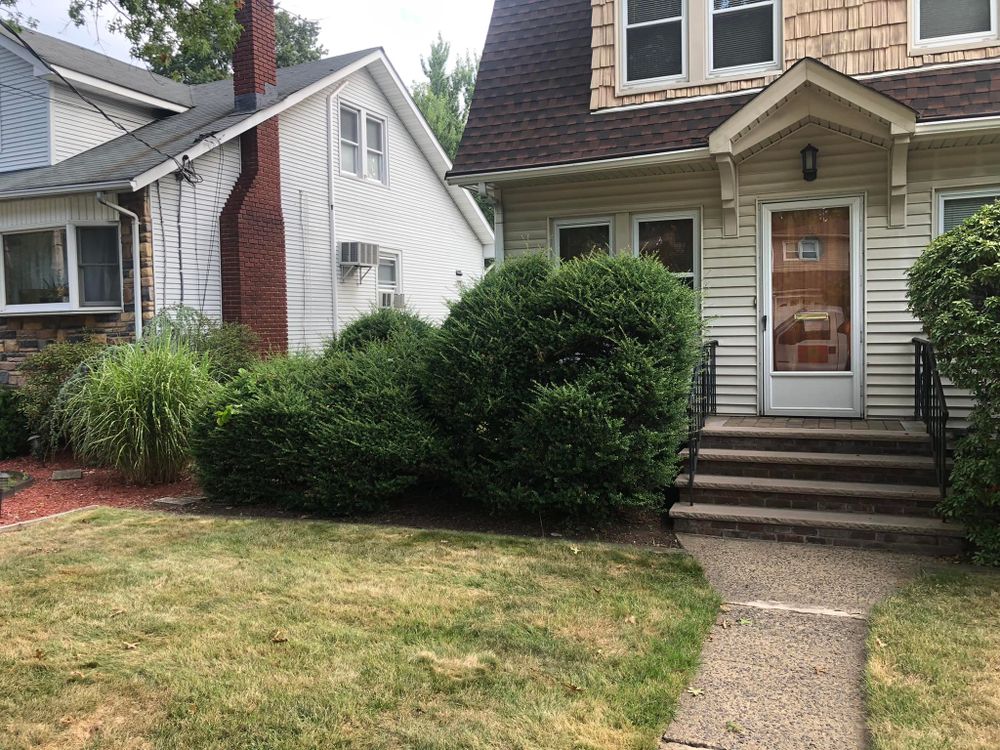 All Photos for Castro Landscaping in Orange, NJ