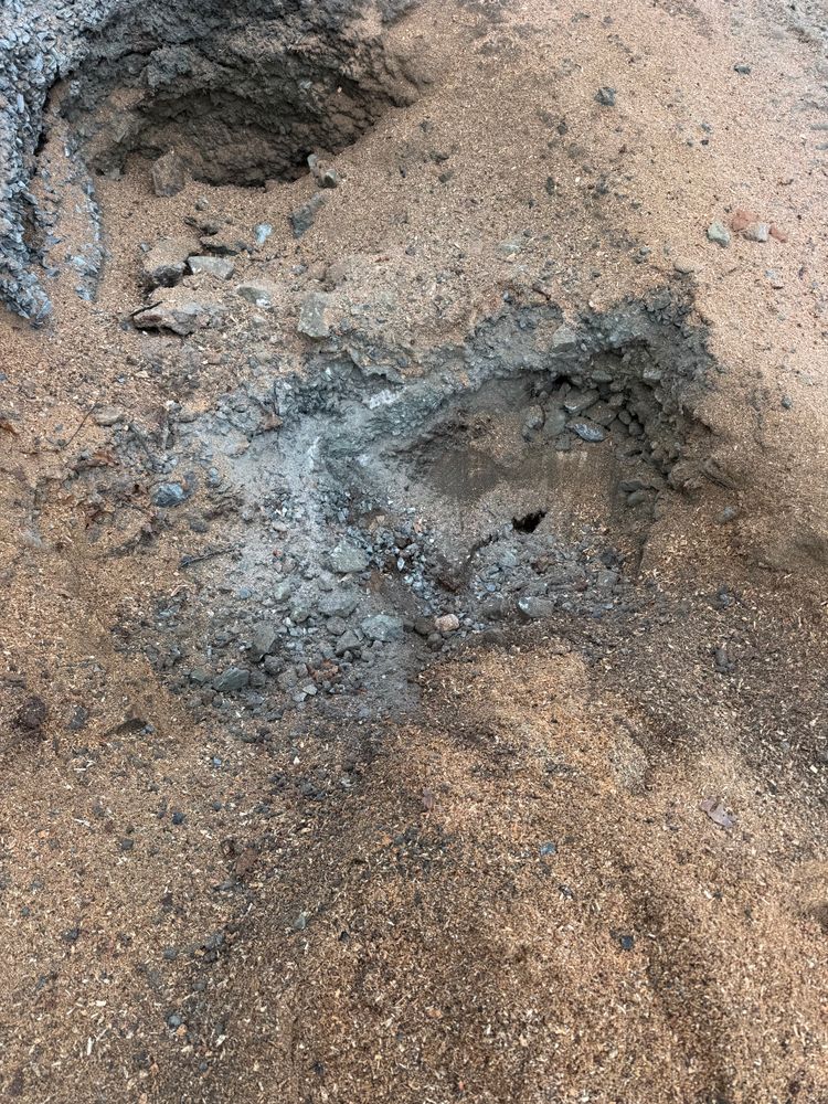 All Photos for Clifford’s Quality Tree Care & Landscaping in Enfield, NH