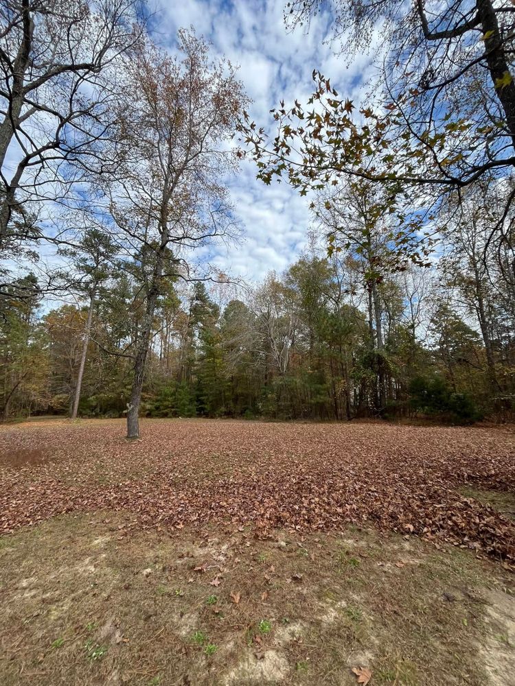 Enhance your yard's appearance with our efficient Leaf Removal service. We ensure a clean, vibrant lawn by swiftly clearing fallen leaves, promoting healthier grass and maintaining curb appeal throughout the fall season. for C + C Landscaping in Chesterfield, VA