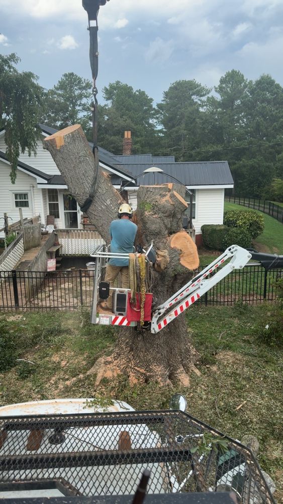 All Photos for Owens Tree Services in Inman, SC