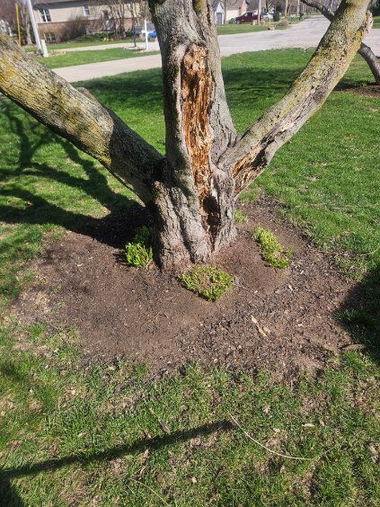 All Photos for Stafford.Works in Brownsburg, IN