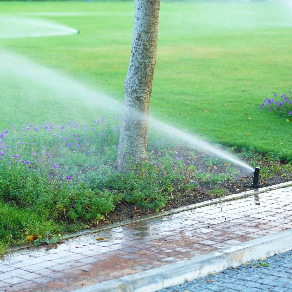 All Photos for Terra Heights Tree Experts & Landscaping  in Grass Valley,  CA