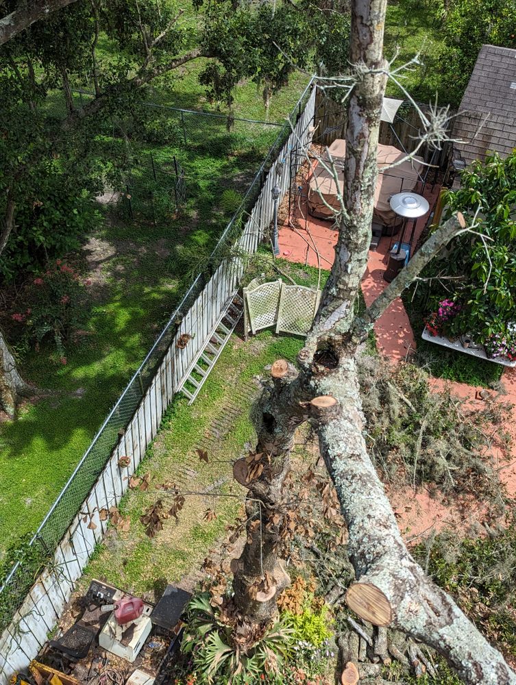 All Photos for Regal Tree Service and Stump Grinding in Wauchula, FL