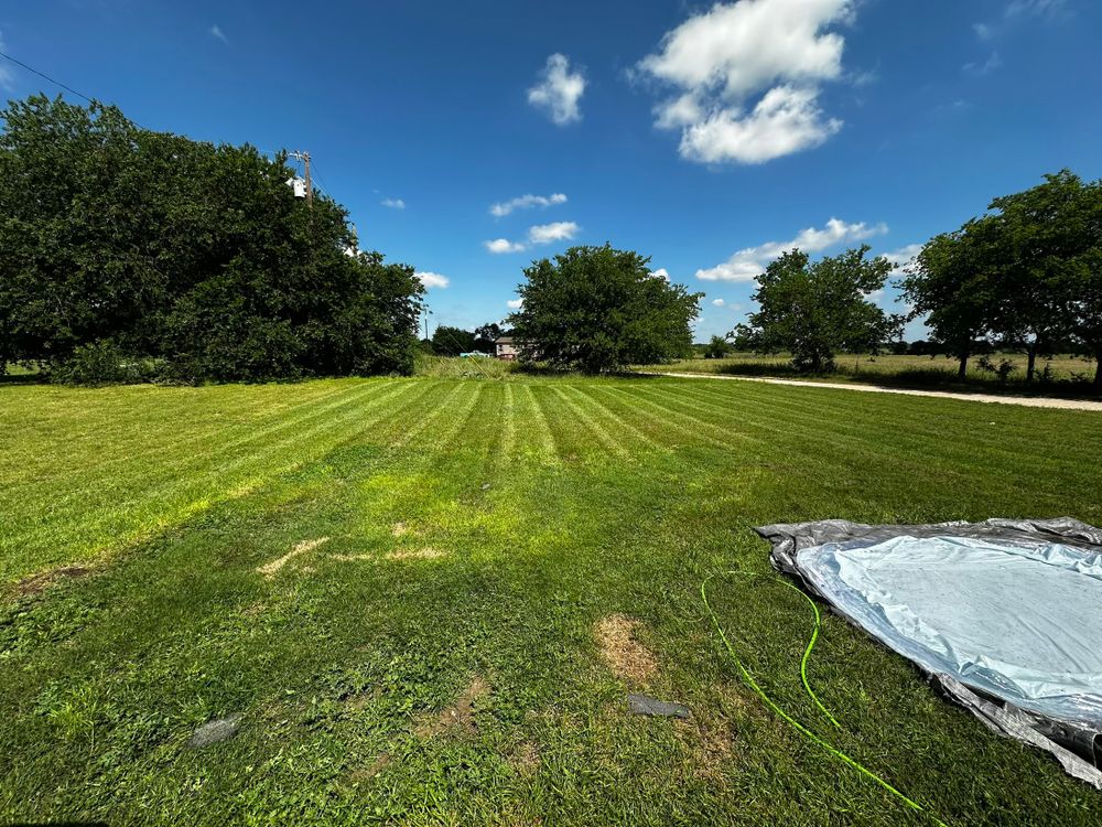 All Photos for Scalpel Lawn Service in Temple, TX