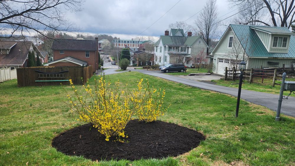 All Photos for Simply Natural Landscape in Abingdon, VA