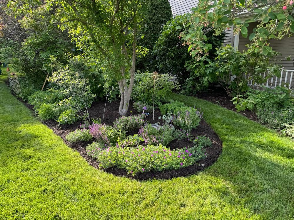 Enhance your home's curb appeal with our professional shrub trimming service, expertly shaping and maintaining healthy plants to elevate your landscape's beauty while promoting robust growth throughout every season. for B&G Lawn Care in Roscoe, IL
