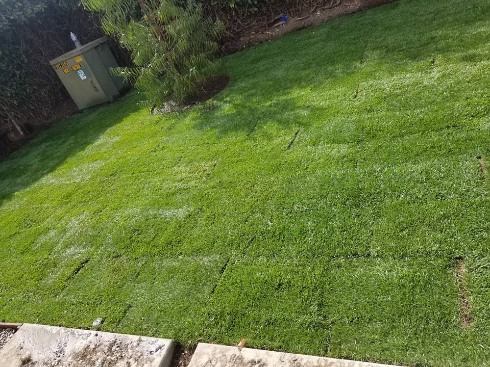 Lawn Aeration for Sierra Landscape in Tustin, CA