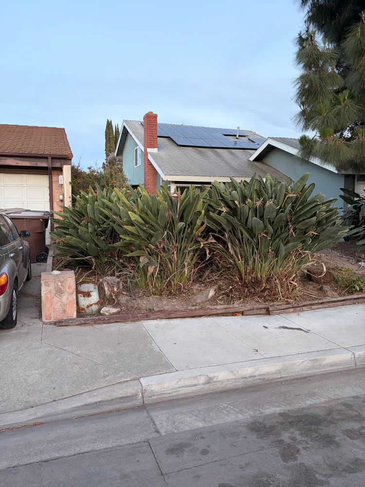 All Photos for JJs Relocation Services in Orange County, CA