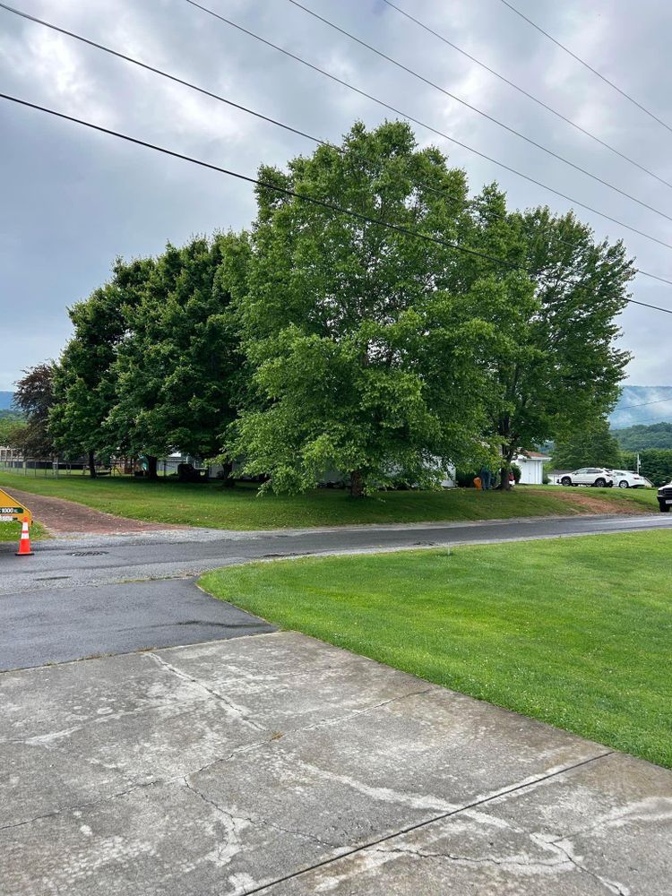 All Photos for NRV Tree Pro, LLC in Narrows, VA