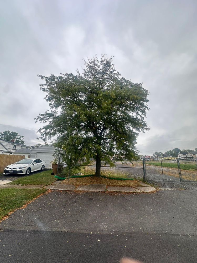 All Photos for Hauser's Complete Care INC in Lancaster, NY