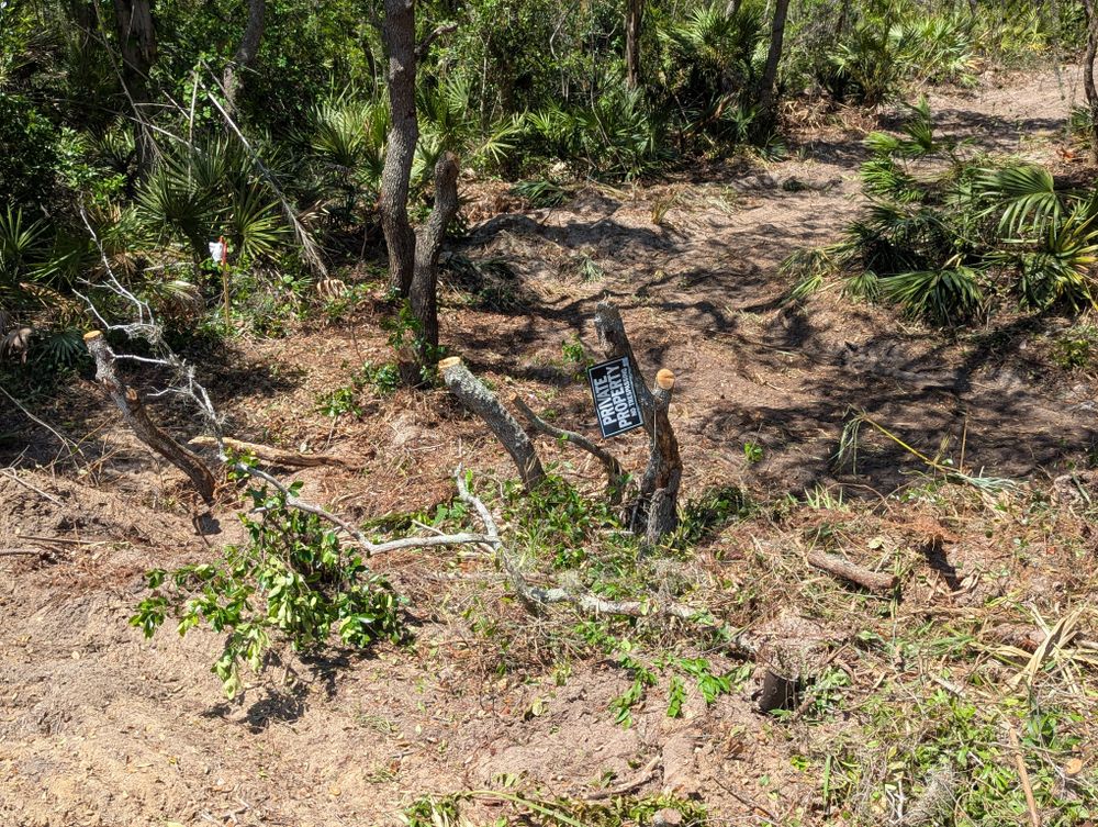 All Photos for Regal Tree Service and Stump Grinding in Wauchula, FL