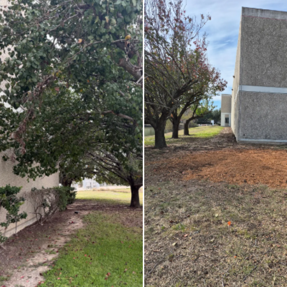 All Photos for Texas Lawn & Sprinkler Co. in Houston, TX