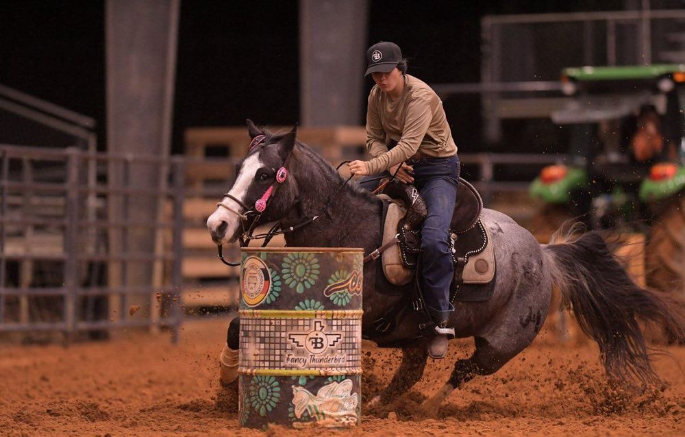 All Photos for Florida Native Equestrian Development in Central Florida, FL