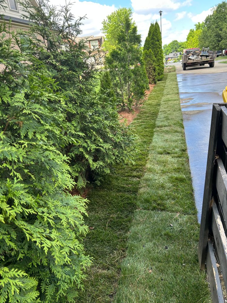 All Photos for Optimum Tree Service And Landscaping in Bowling Green, KY