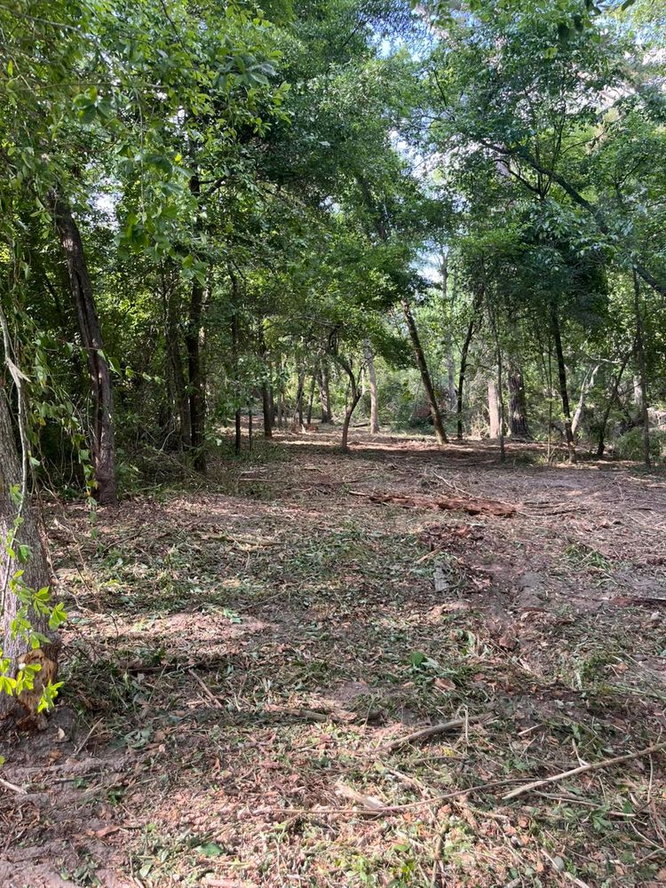 All Photos for Pinewood Land Management LLC in Nashville, GA