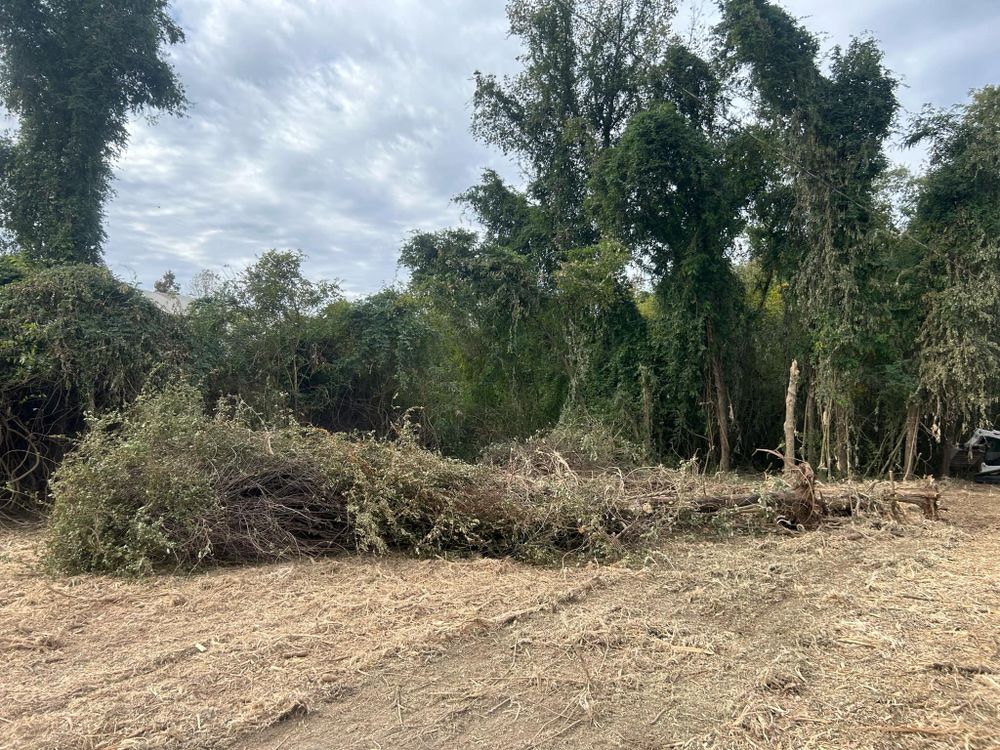 All Photos for Z's Land Management & Forestry Mulching in Smithville, TN