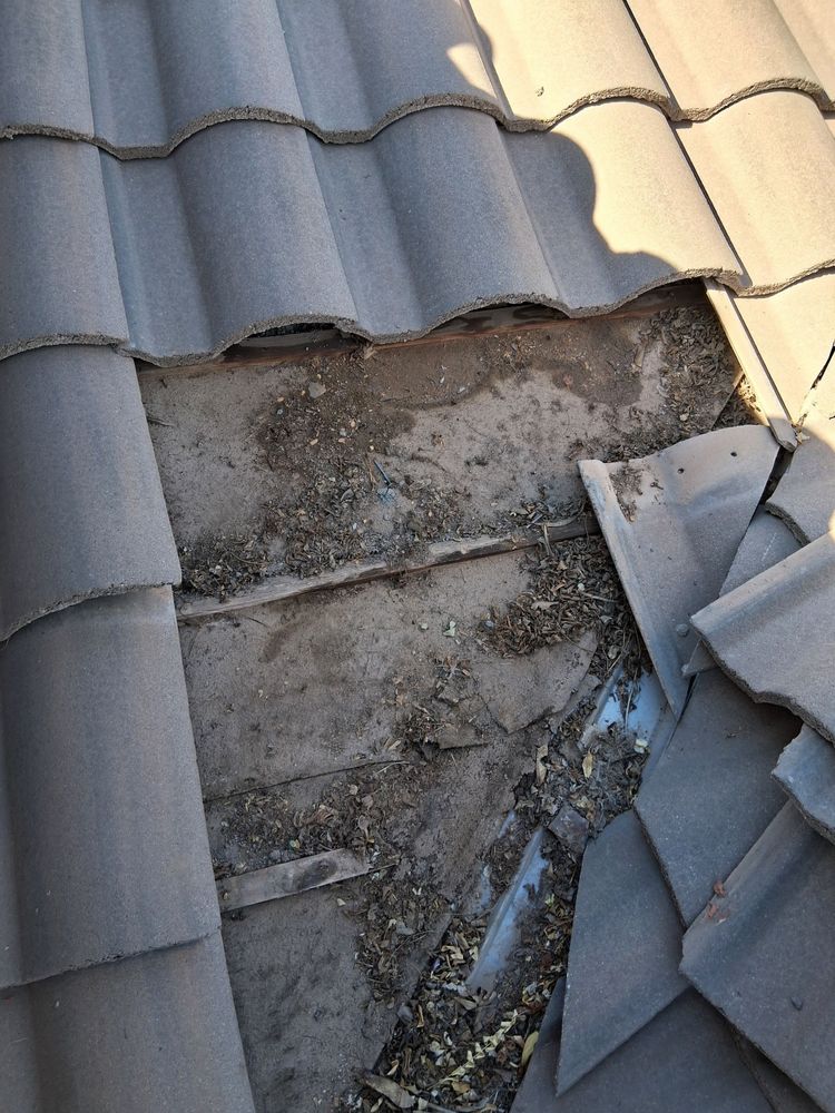All Photos for Olson & Sons Contracting in Mesa, AZ