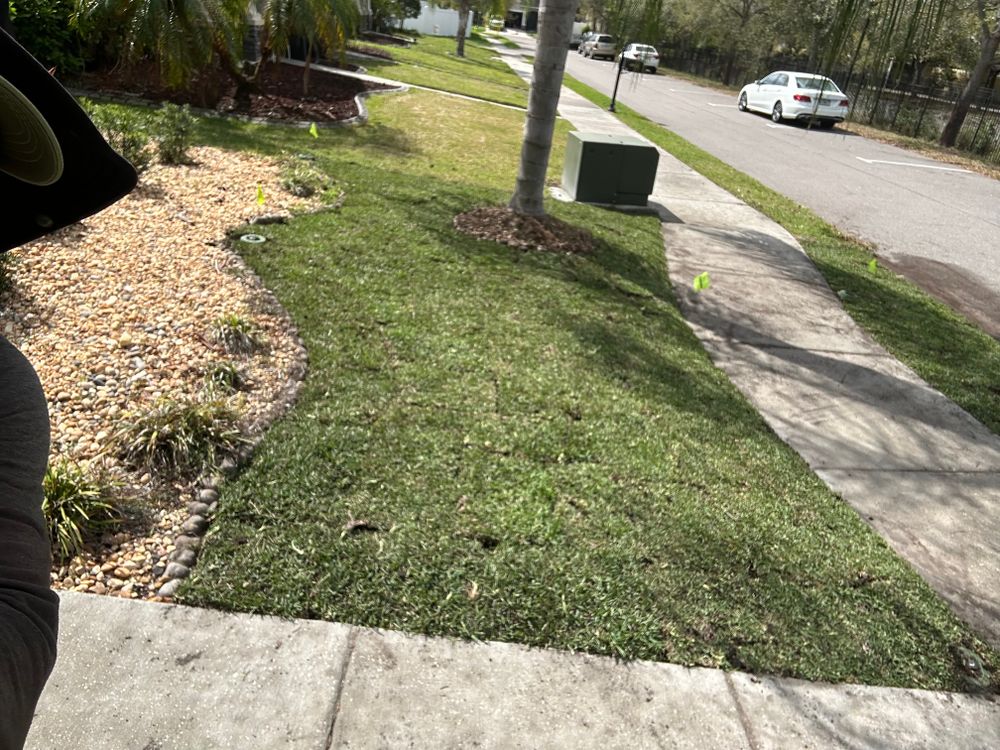 All Photos for Gulf Bay Sod in Clearwater, FL