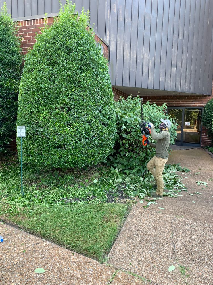 Russell’s Lawn Care Plus offers expert shrub trimming to shape, maintain, and enhance your landscape. We carefully prune each shrub for healthy growth, improved curb appeal, and a clean, polished look across your property. for Russell's Lawn Care Plus in Nashville, TN