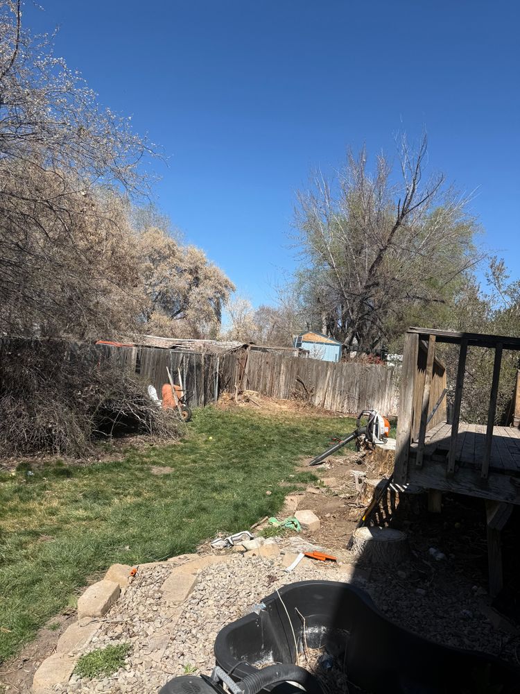 All Photos for Platinum Lawn Service in Santaquin, UT