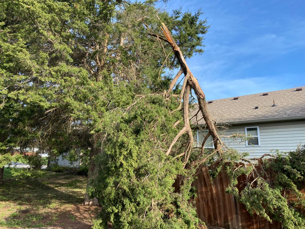 All Photos for Bearforce Lawn Care LLC in Greenfield, IN