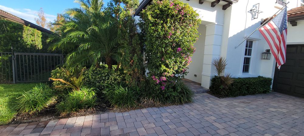 All Photos for L & J Palm Tree & Lawn Care Services in Jupiter, FL