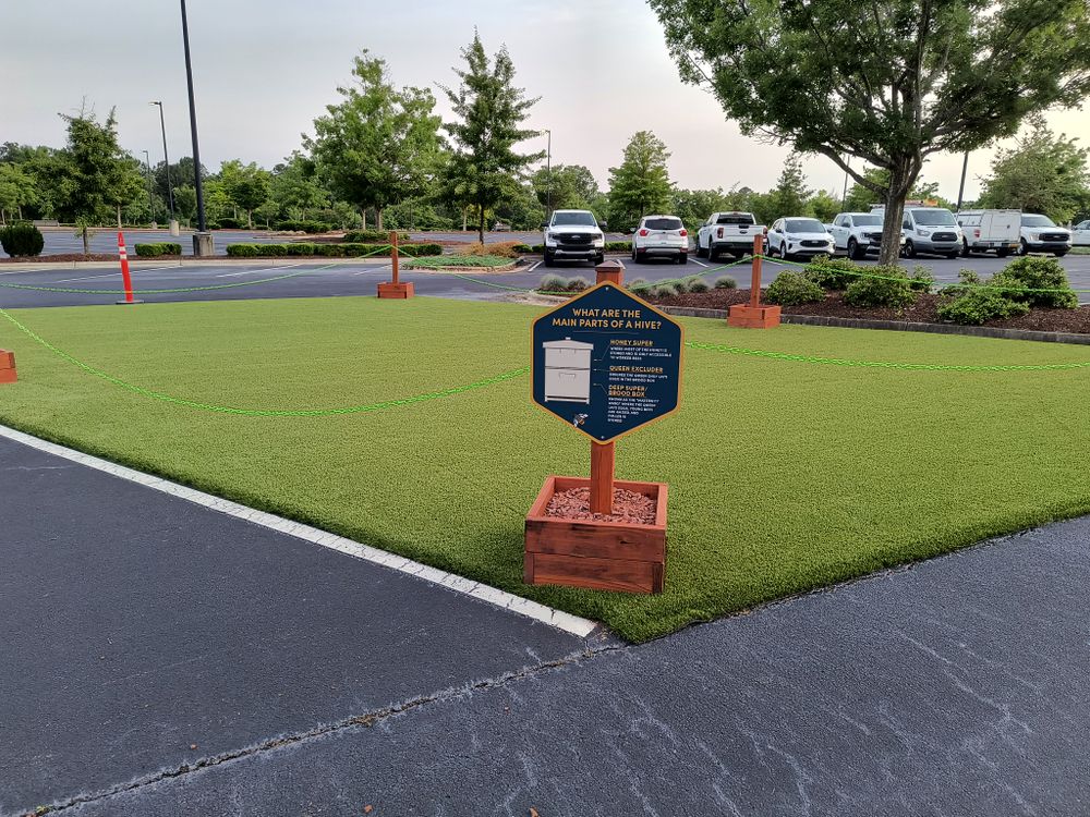All Photos for Elite Turfs in Mount Pleasant, NC