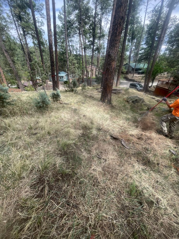 All Photos for G&B Yard Service in Ruidoso Downs, NM