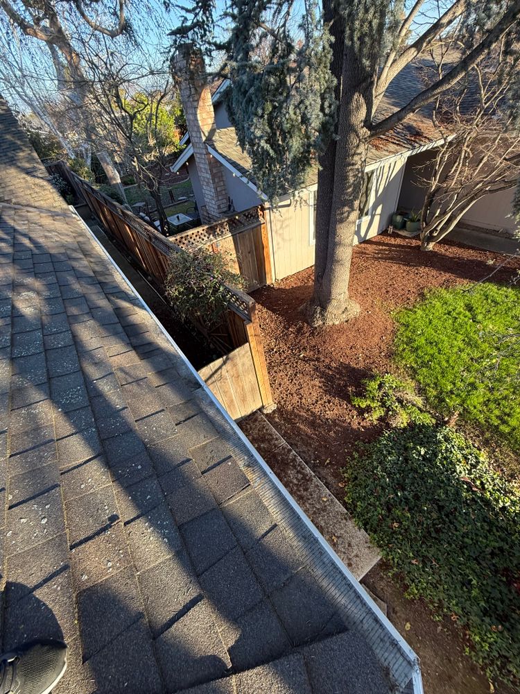 Moss Removal  for GGG Home Services in San Jose, CA