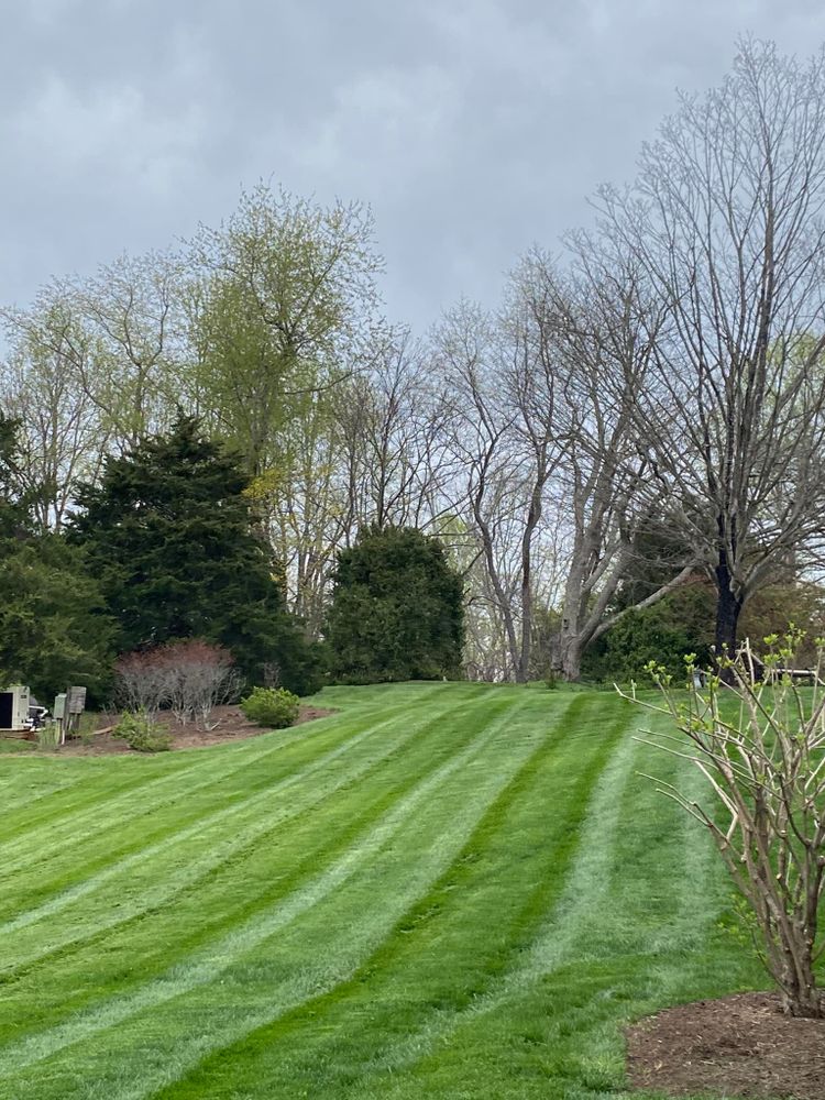 All Photos for Valencia’s Lawncare in Charlottesville, VA
