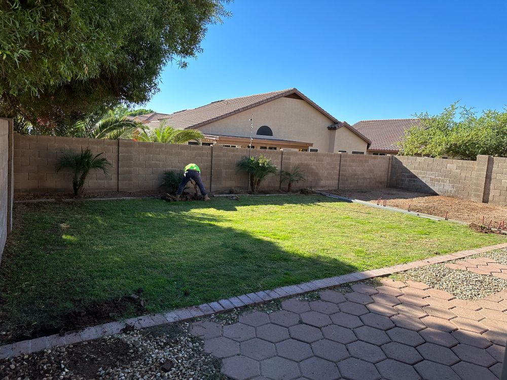 All Photos for OZ Landscape LLC in Surprise, AZ