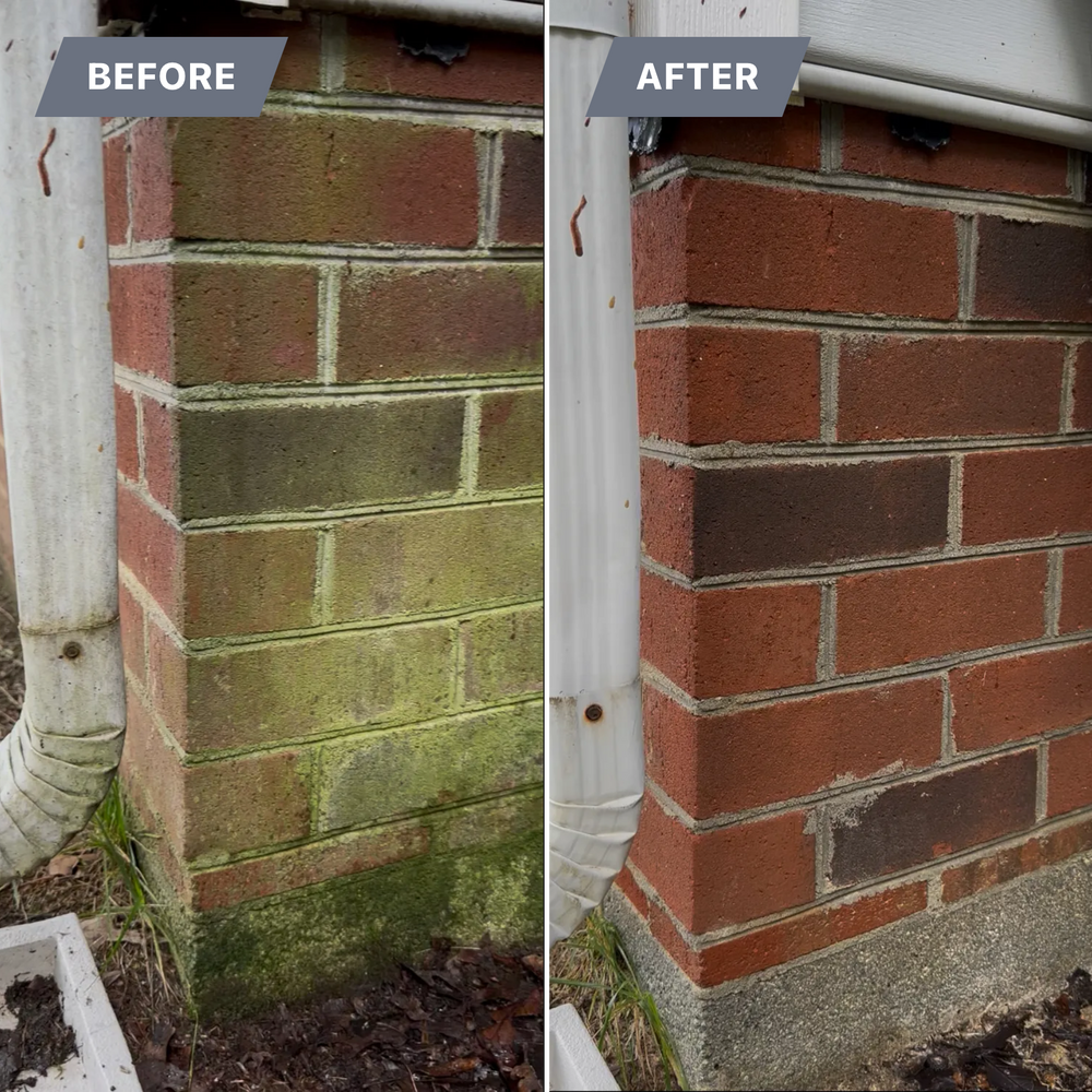 All Photos for LeafTide Solutions in Richmond, VA