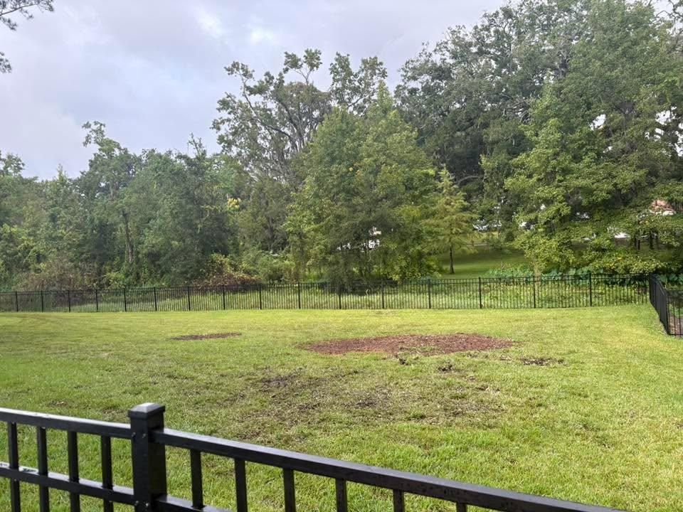 All Photos for Top Notch Tree Experts in Orange Park, FL