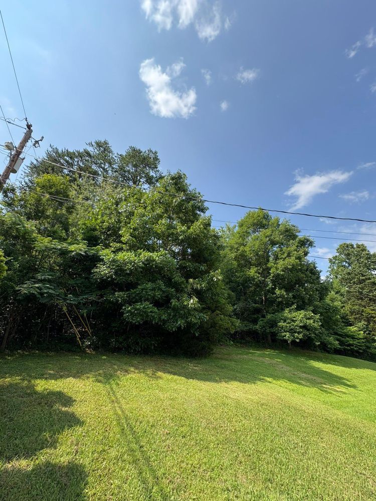 All Photos for Phillips Construction and Excavating in Seymour, TN