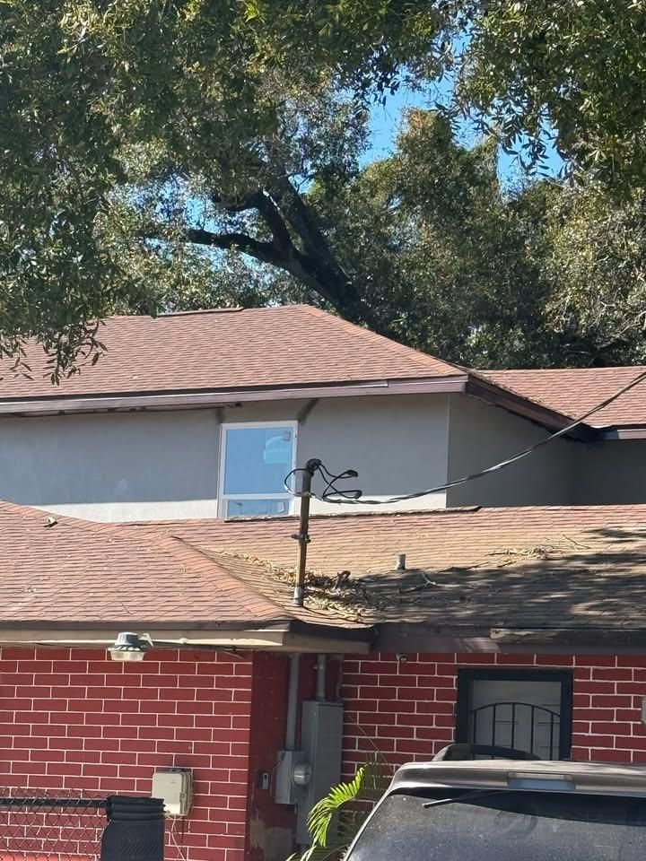 All Photos for Escorpio Painting in Tampa, FL